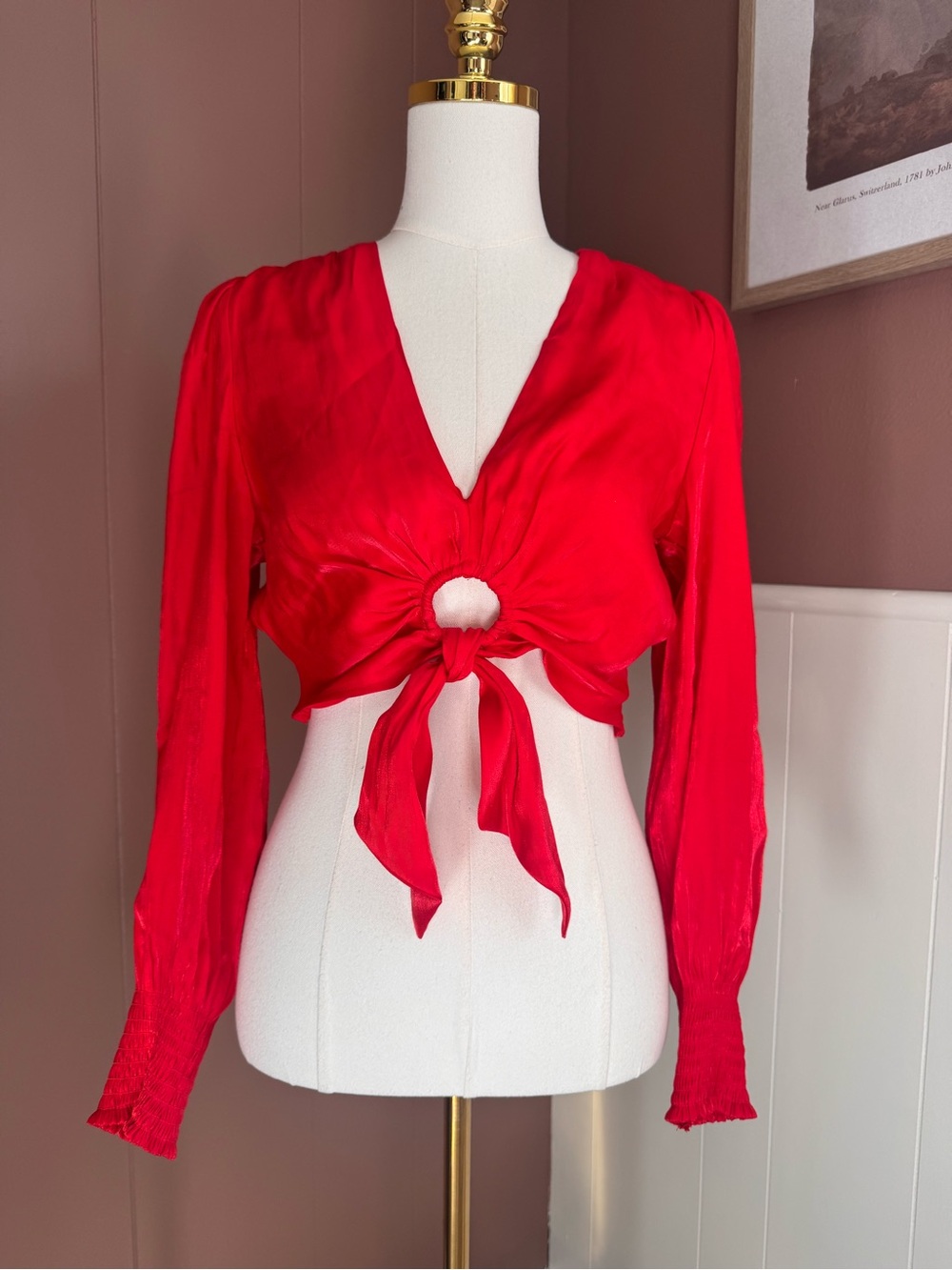 Gianni Bini Red Tie-Front V-Neck Crop Top